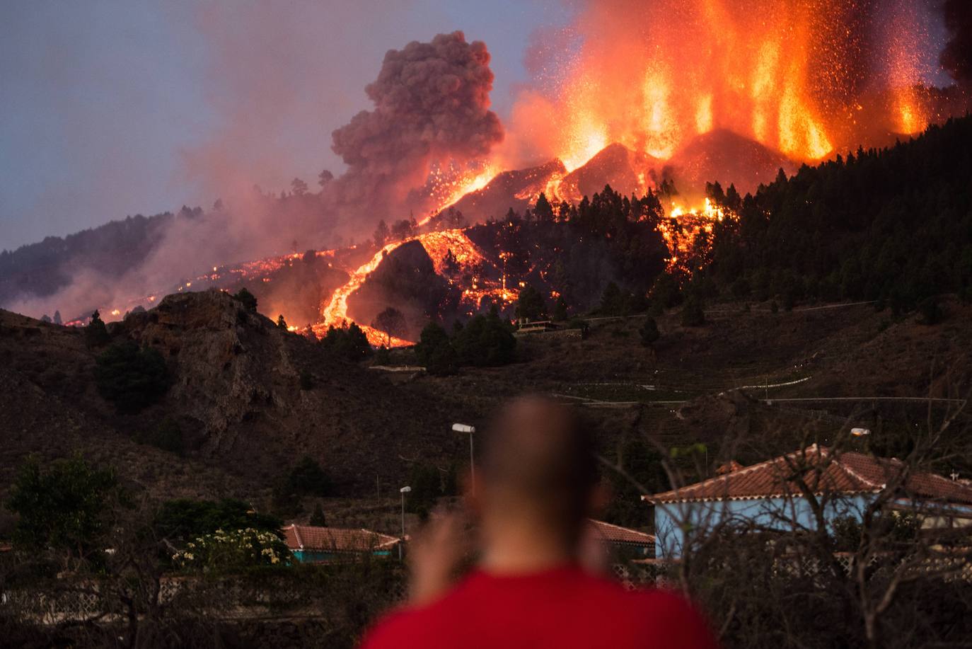 El Consorcio de Seguros aprueba los primeros pagos en indemnizaciones por los daños del volcán de La Palma 1