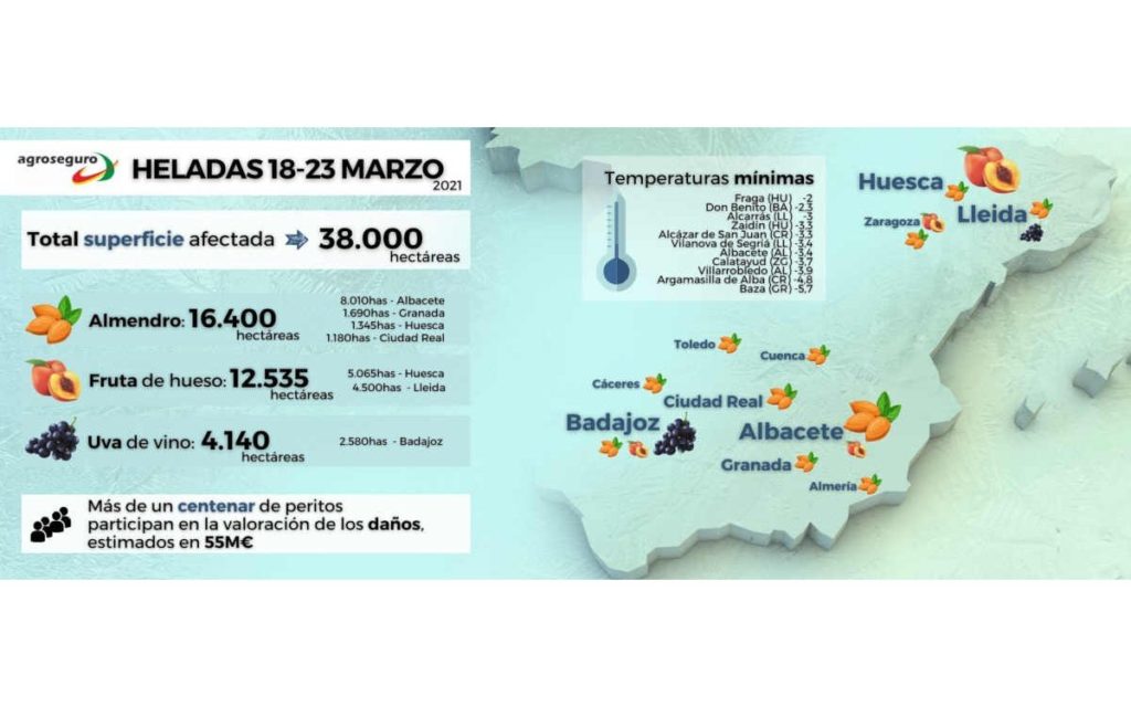 Las heladas del puente de San José dejan siniestros en 38.000 hectáreas aseguradas 1