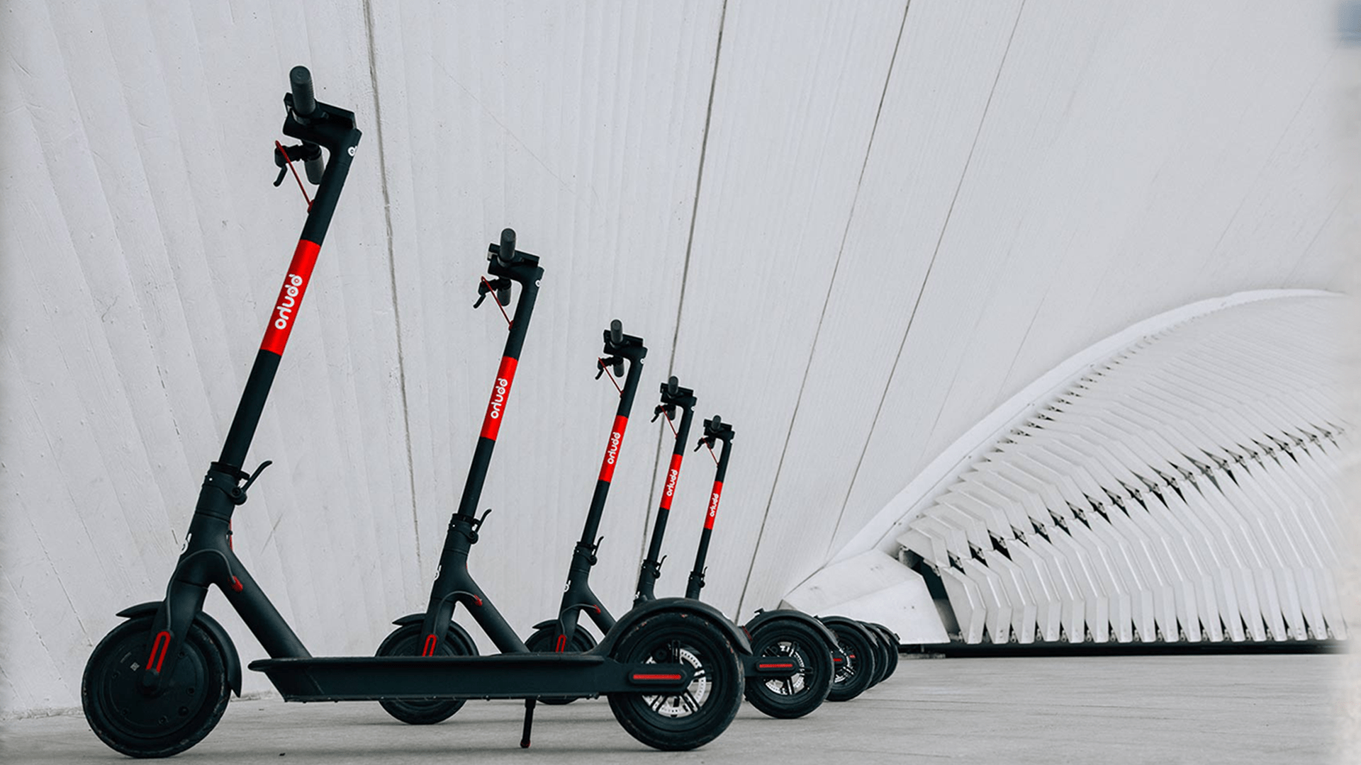 ¿Vas en patinete eléctrico? ¿Estás preparado para la nueva normativa de la DGT ? 3