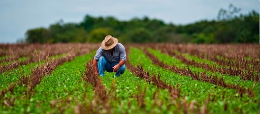 Agroseguro incorpora la tecnología Robotic Process Automation (RPA) para mejorar la eficiencia de sus procesos operativos 8